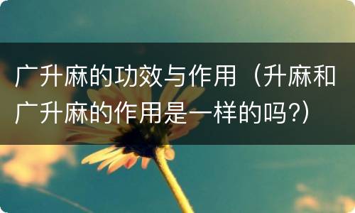 广升麻的功效与作用（升麻和广升麻的作用是一样的吗?）
