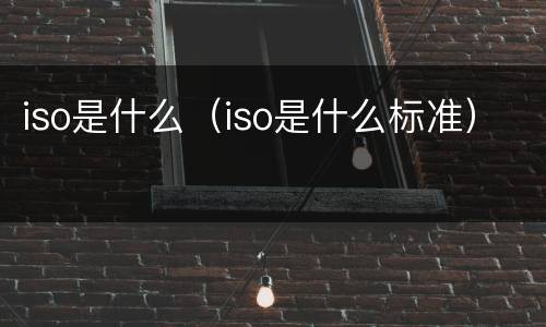 iso是什么（iso是什么标准）