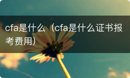 cfa是什么（cfa是什么证书报考费用）