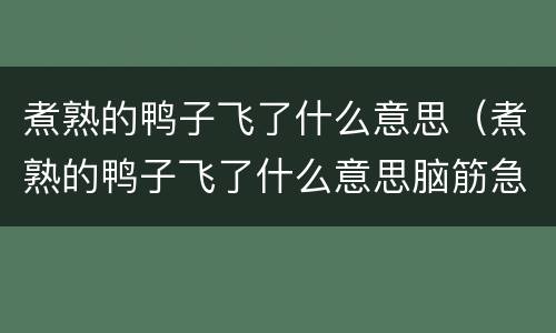 煮熟的鸭子飞了什么意思（煮熟的鸭子飞了什么意思脑筋急转弯）