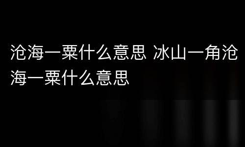 沧海一粟什么意思 冰山一角沧海一粟什么意思