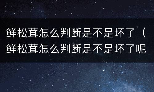 鲜松茸怎么判断是不是坏了（鲜松茸怎么判断是不是坏了呢）