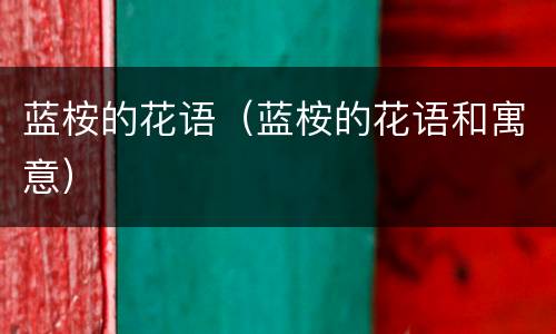 蓝桉的花语（蓝桉的花语和寓意）