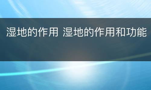湿地的作用 湿地的作用和功能