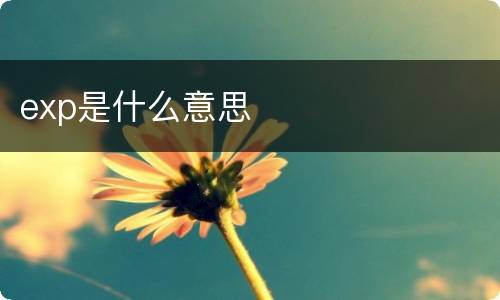 exp是什么意思