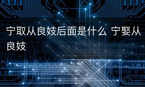 宁取从良妓后面是什么 宁娶从良妓