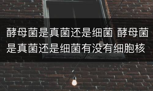酵母菌是真菌还是细菌 酵母菌是真菌还是细菌有没有细胞核