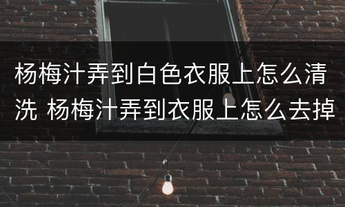 杨梅汁弄到白色衣服上怎么清洗 杨梅汁弄到衣服上怎么去掉