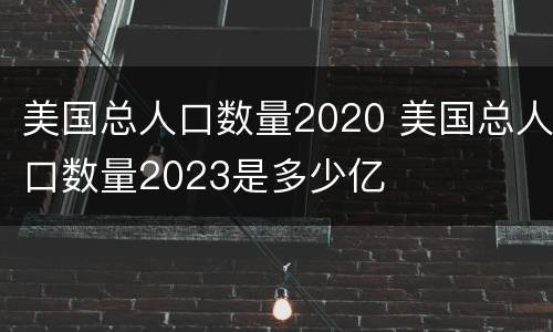 美国总人口数量2020 美国总人口数量2023是多少亿