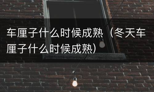 车厘子什么时候成熟（冬天车厘子什么时候成熟）