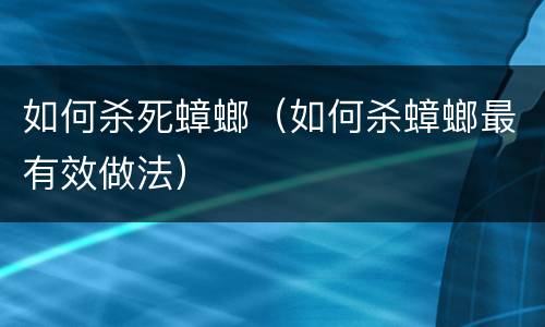 如何杀死蟑螂(如何杀蟑螂最有效做法)