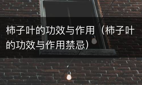 柿子叶的功效与作用（柿子叶的功效与作用禁忌）