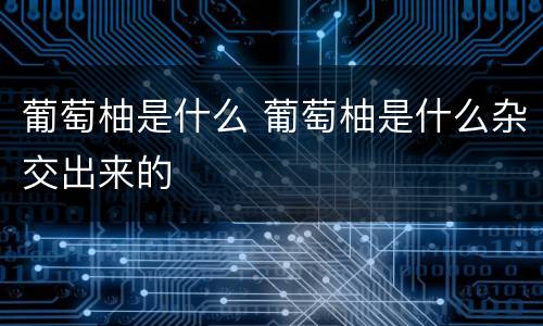 葡萄柚是什么 葡萄柚是什么杂交出来的