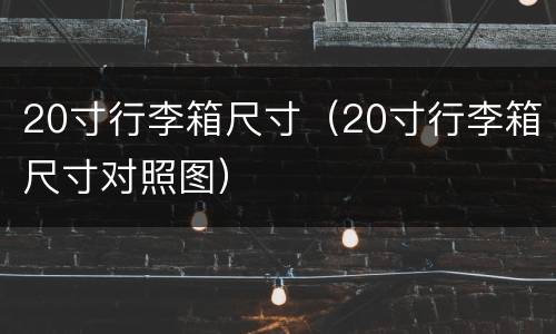 20寸行李箱尺寸（20寸行李箱尺寸对照图）