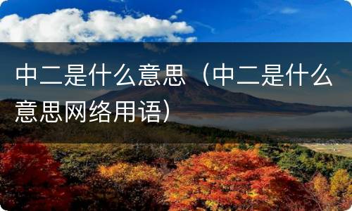 中二是什么意思（中二是什么意思网络用语）