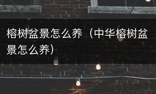 榕树盆景怎么养（中华榕树盆景怎么养）