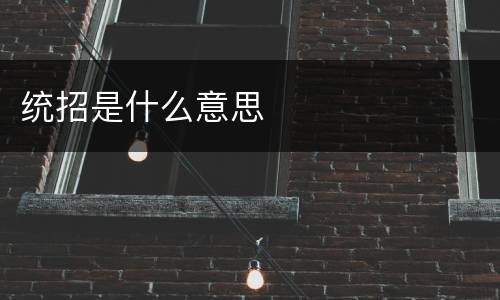 统招是什么意思