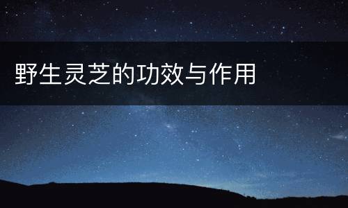 野生灵芝的功效与作用