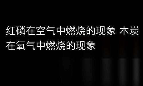 红磷在空气中燃烧的现象 木炭在氧气中燃烧的现象