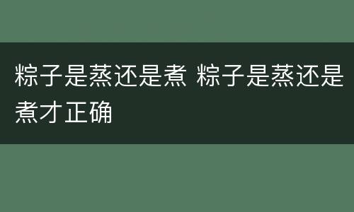 粽子是蒸还是煮 粽子是蒸还是煮才正确