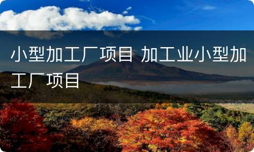 小型加工厂项目 加工业小型加工厂项目