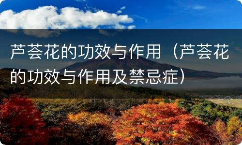 芦荟花的功效与作用（芦荟花的功效与作用及禁忌症）