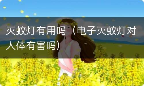 灭蚊灯有用吗（电子灭蚊灯对人体有害吗）