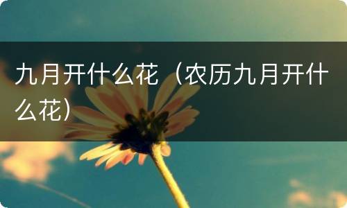 九月开什么花（农历九月开什么花）