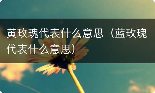 黄玫瑰代表什么意思（蓝玫瑰代表什么意思）