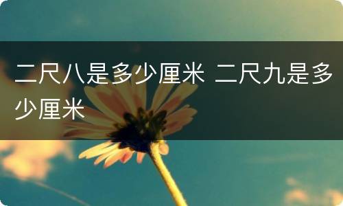 二尺八是多少厘米 二尺九是多少厘米