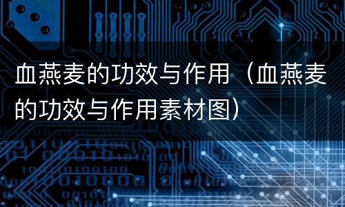 血燕麦的功效与作用（血燕麦的功效与作用素材图）