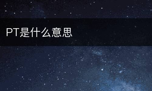 PT是什么意思