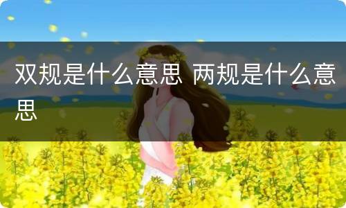 双规是什么意思 两规是什么意思