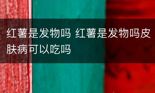 红薯是发物吗 红薯是发物吗皮肤病可以吃吗
