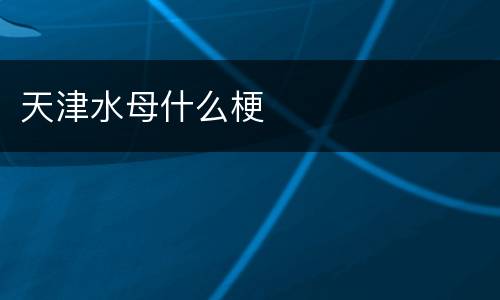 天津水母什么梗