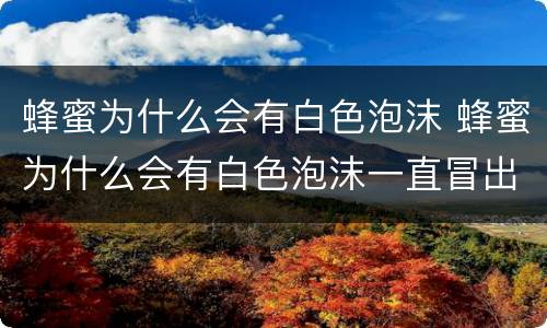 蜂蜜为什么会有白色泡沫 蜂蜜为什么会有白色泡沫一直冒出来