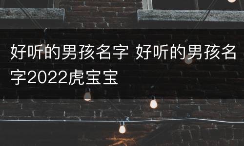 好听的男孩名字 好听的男孩名字2022虎宝宝