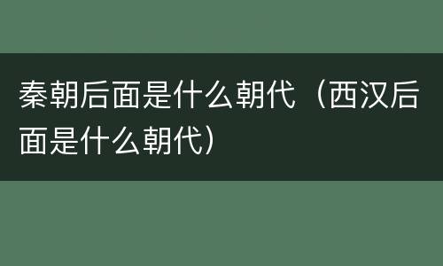秦朝后面是什么朝代（西汉后面是什么朝代）