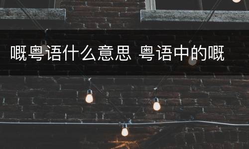 嘅粤语什么意思 粤语中的嘅