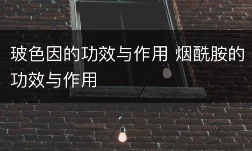 玻色因的功效与作用 烟酰胺的功效与作用