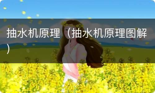 抽水机原理（抽水机原理图解）