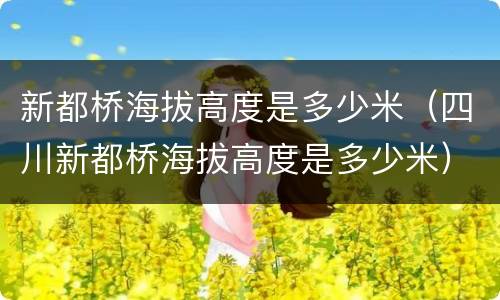 新都桥海拔高度是多少米（四川新都桥海拔高度是多少米）