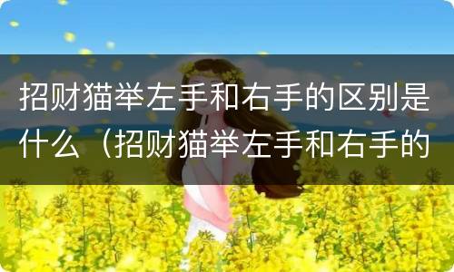 招财猫举左手和右手的区别是什么（招财猫举左手和右手的区别是什么图片）