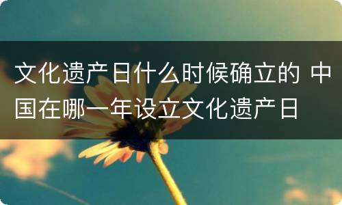 文化遗产日什么时候确立的 中国在哪一年设立文化遗产日
