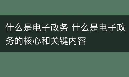 什么是电子政务 什么是电子政务的核心和关键内容