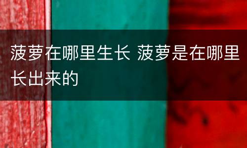 菠萝在哪里生长 菠萝是在哪里长出来的