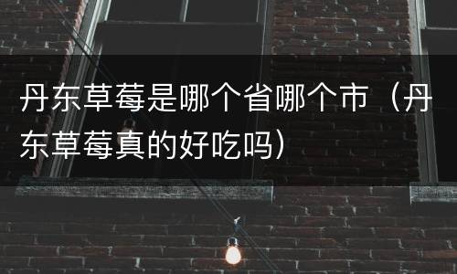 丹东草莓是哪个省哪个市(丹东草莓真的好吃吗)