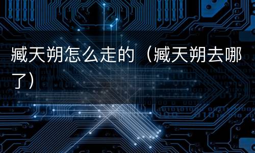 臧天朔怎么走的（臧天朔去哪了）