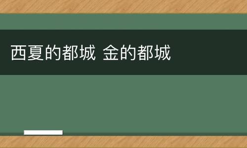 西夏的都城 金的都城