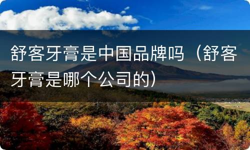 舒客牙膏是中国品牌吗（舒客牙膏是哪个公司的）
